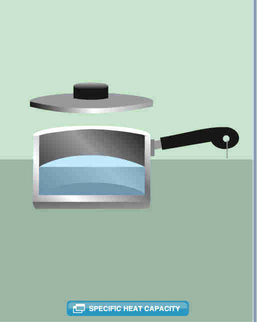 still image from the interactive computer task