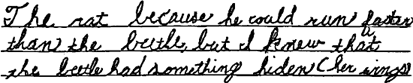 handwritten response: The rat because he could run faster than the bettle, but I know that the beetle had something hidden (her wings).