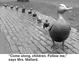 Come along children, follow me.